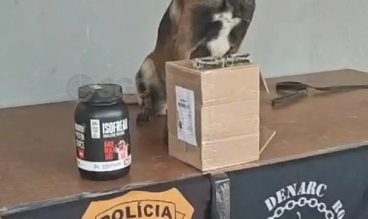 Cão farejador da polícia encontra droga escondida em pote de whey protein em RO