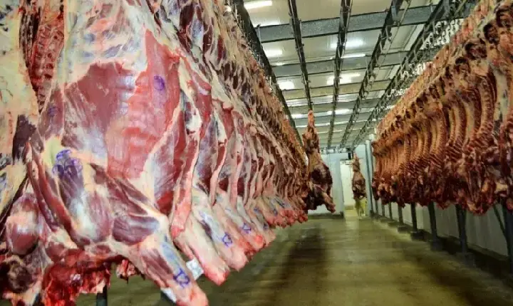 Carne bovina supera soja e lidera exportações de Rondônia em maio