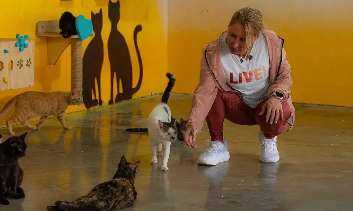 Ieda Chaves doa salário e destina mais de R$ 2,3 milhões para a causa animal em Rondônia