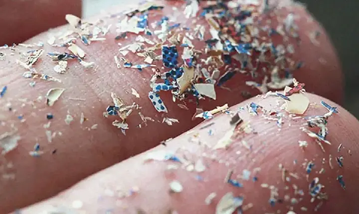 Quanto microplástico existe no corpo humano? Cientistas buscam resposta