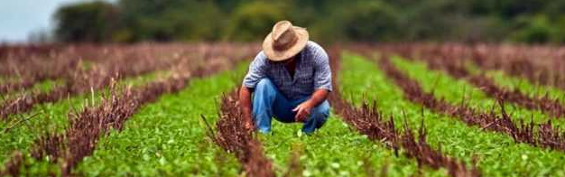 Senar-RO - Produtores rurais interessados em investir na agroindústria terão suporte e treinamento