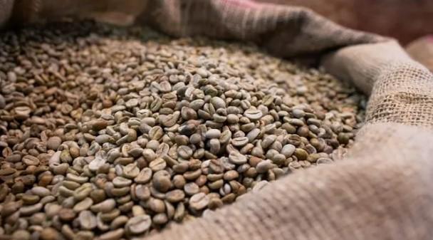 Brasil anuncia que exportará café verde para a Zâmbia
