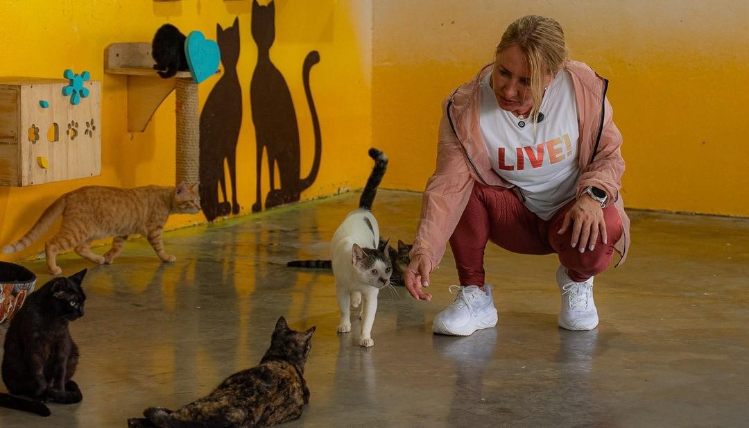 Ieda Chaves doa salário e destina mais de R$ 2,3 milhões para a causa animal em Rondônia