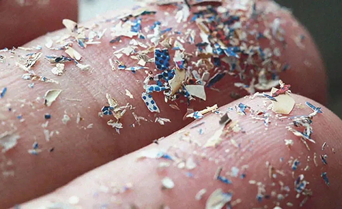Quanto microplástico existe no corpo humano? Cientistas buscam resposta