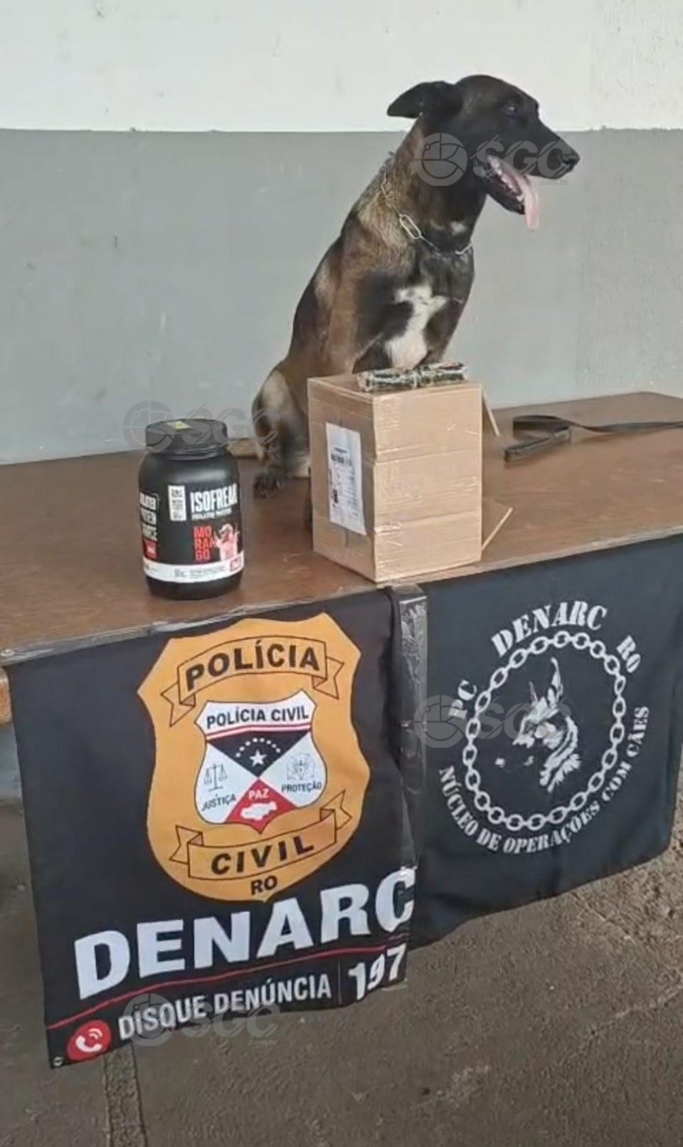 Cão farejador da polícia encontra droga escondida em pote de whey protein em RO